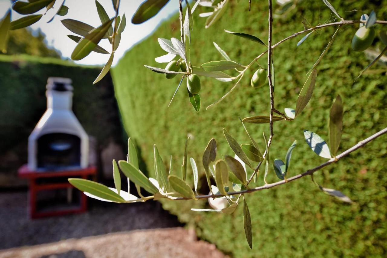 Villa I Cinque Trulli With Swimming Pool Martina Franca Exterior foto